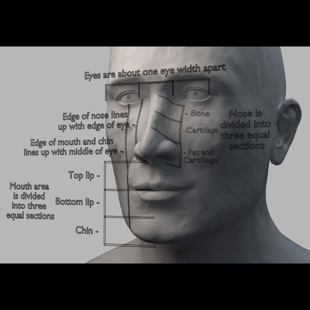 Proportions of the Face preview image 3